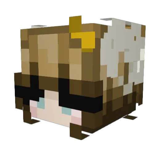 asphaltpoptart Minecraft avatar head, 3D render