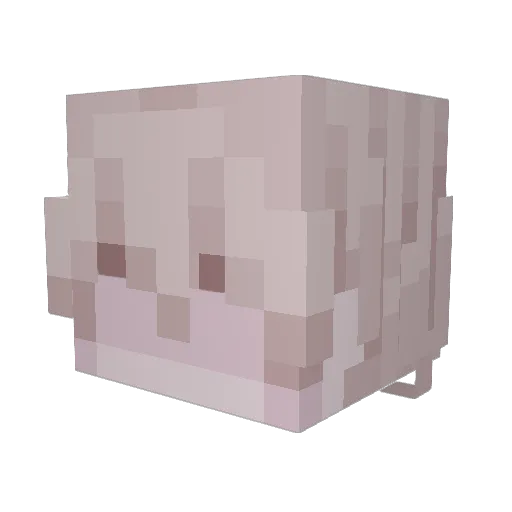 asphodelione Minecraft avatar head, 3D render