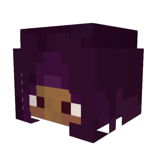 aspiringuitarist Minecraft avatar head, 3D render