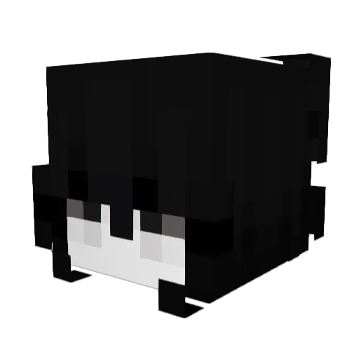 aspiryna_ Minecraft avatar head, 3D render