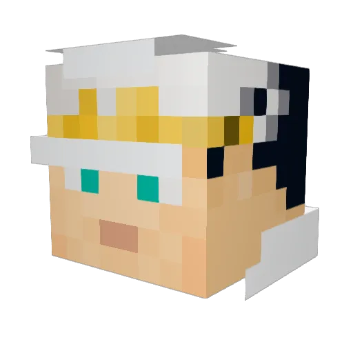 asq17_ Minecraft avatar head, 3D render
