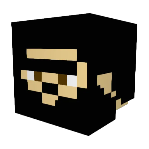 asrN46 Minecraft avatar head, 3D render