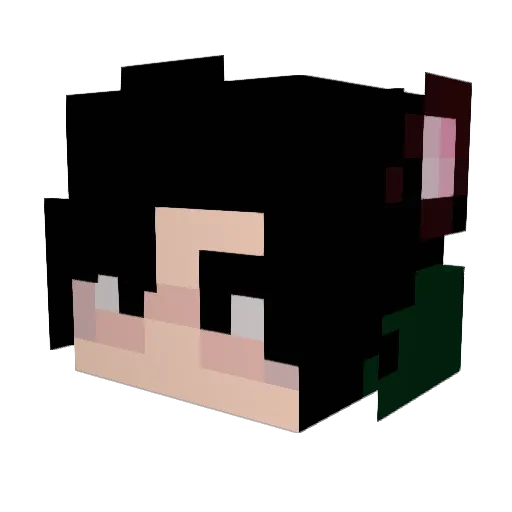 ass_cauliflower Minecraft avatar head, 3D render