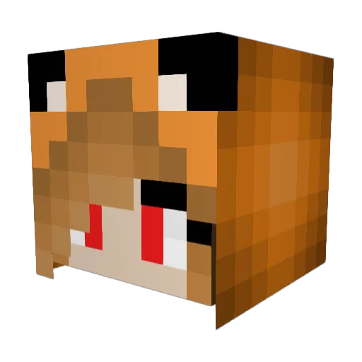 assasin_Rait Minecraft avatar head, 3D render