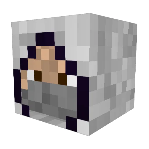 assassin13325 Minecraft avatar head, 3D render