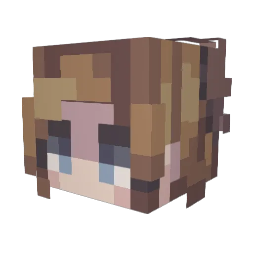 assassin219 Minecraft avatar head, 3D render