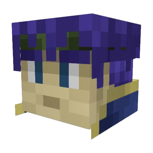 assassin2467 Minecraft avatar head, 3D render