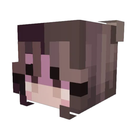 assassin25010 Minecraft avatar head, 3D render