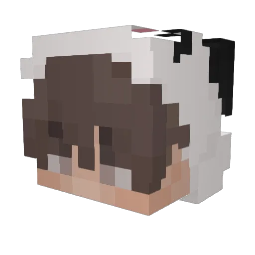 assassinlss Minecraft avatar head, 3D render