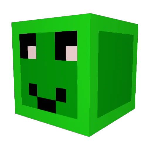 assassinmast3r8 Minecraft avatar head, 3D render