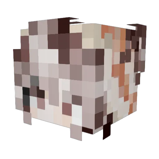 assidue Minecraft avatar head, 3D render