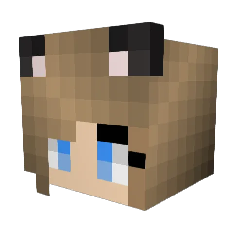 assjidjakjalk Minecraft avatar head, 3D render