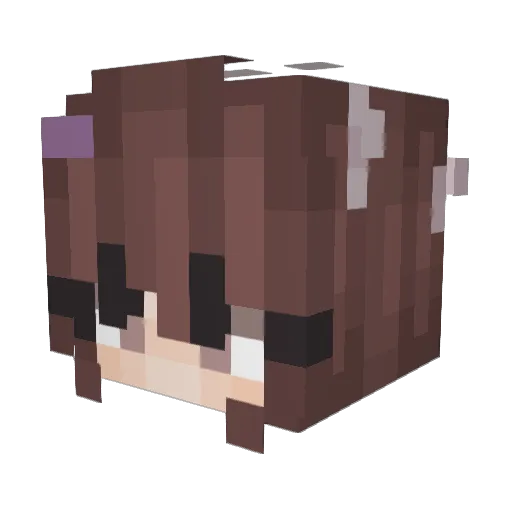 assleys Minecraft avatar head, 3D render