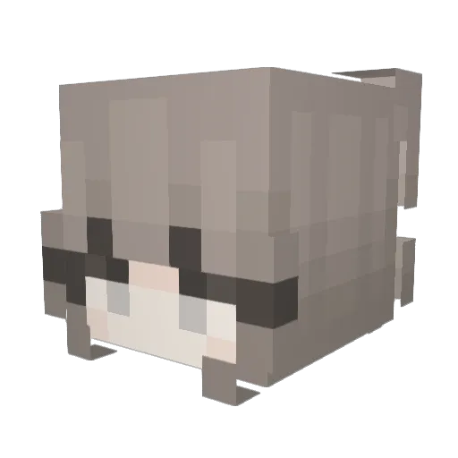 assnole Minecraft avatar head, 3D render