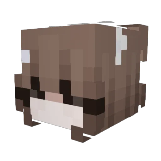 asso997 Minecraft avatar head, 3D render