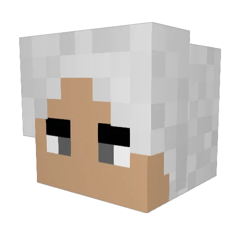 assoult Minecraft avatar head, 3D render