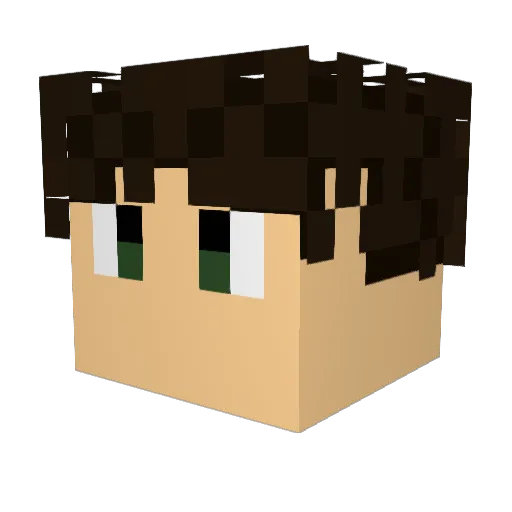 assrtdnts Minecraft avatar head, 3D render