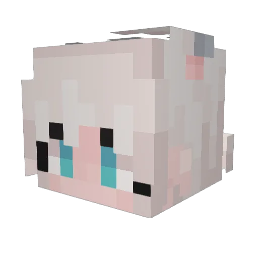 astaaaa3 Minecraft avatar head, 3D render