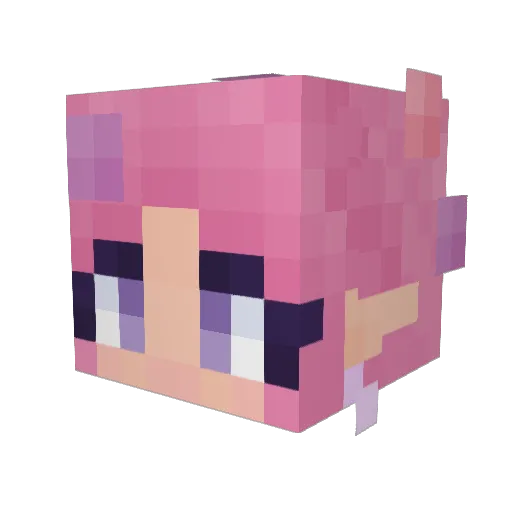 asterfae Minecraft avatar head, 3D render