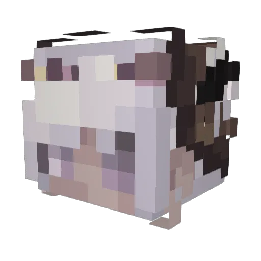 asterinn Minecraft avatar head, 3D render