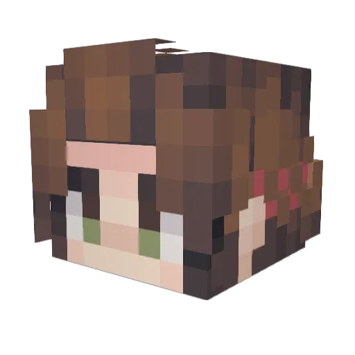 asteroid_kid Minecraft avatar head, 3D render