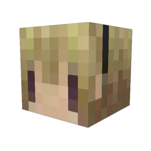 asters007 Minecraft avatar head, 3D render