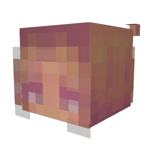 astj167 Minecraft avatar head, 3D render