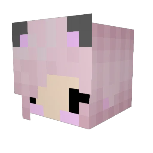 astoflo Minecraft avatar head, 3D render