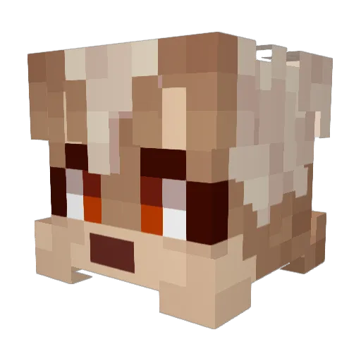 astr0lis Minecraft avatar head, 3D render