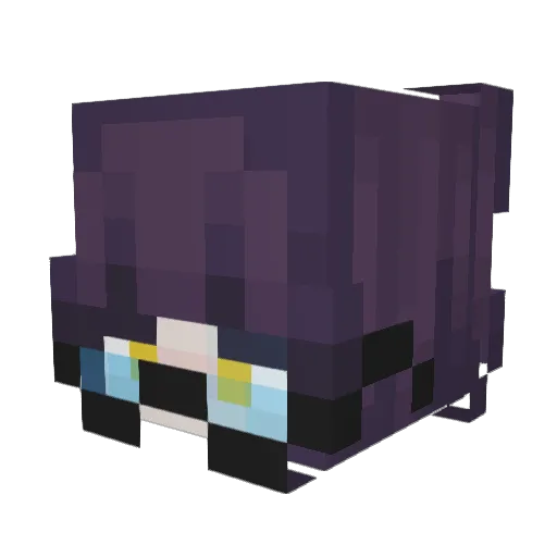astra_star_child Minecraft avatar head, 3D render