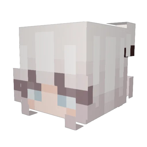 astraasuki Minecraft avatar head, 3D render