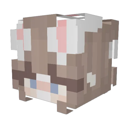 astraliiia Minecraft avatar head, 3D render