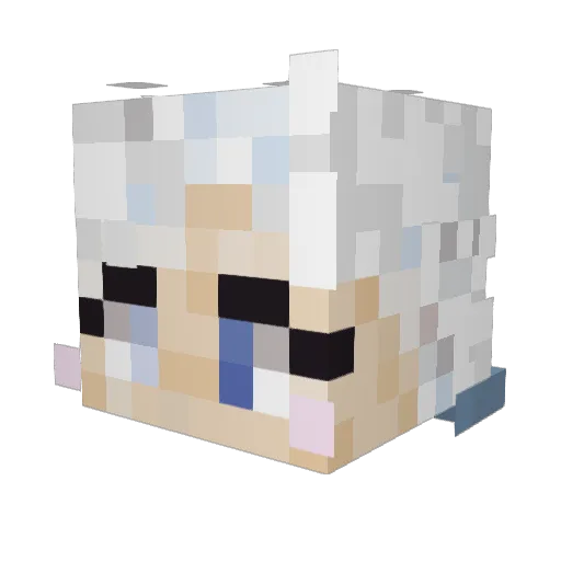 astrallight8784 Minecraft avatar head, 3D render