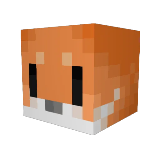 astralsoda Minecraft avatar head, 3D render