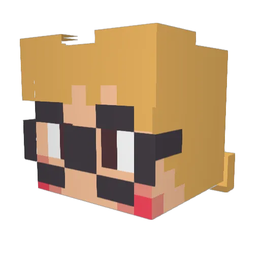 astranomicallyMe Minecraft avatar head, 3D render