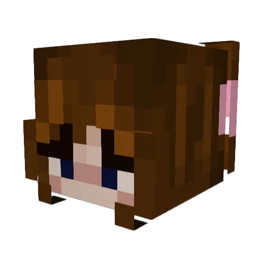 astraphobia112 Minecraft avatar head, 3D render