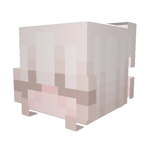 astrasia Minecraft avatar head, 3D render