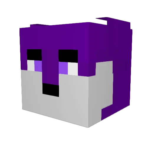 astrixfennix Minecraft avatar head, 3D render