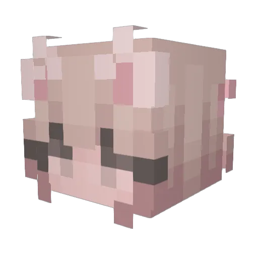 astrnomie Minecraft avatar head, 3D render