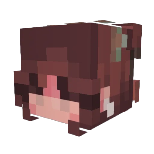 astroOak Minecraft avatar head, 3D render