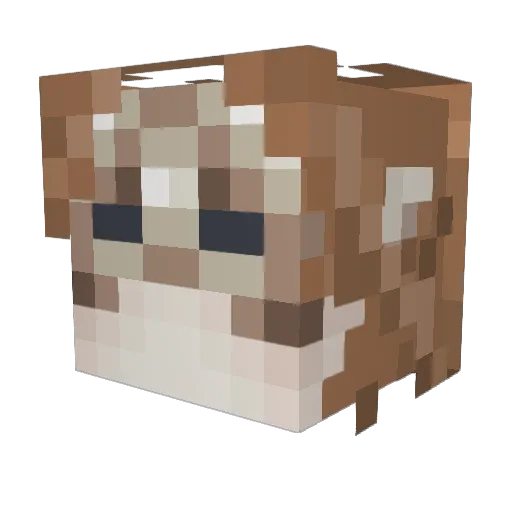 astro_rora Minecraft avatar head, 3D render