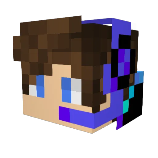 astro_stella Minecraft avatar head, 3D render