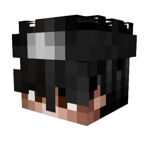 astroassasin Minecraft avatar head, 3D render