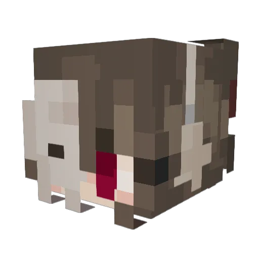 astroc0rpse Minecraft avatar head, 3D render