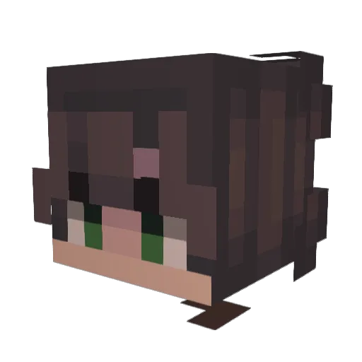 astrodek666 Minecraft avatar head, 3D render