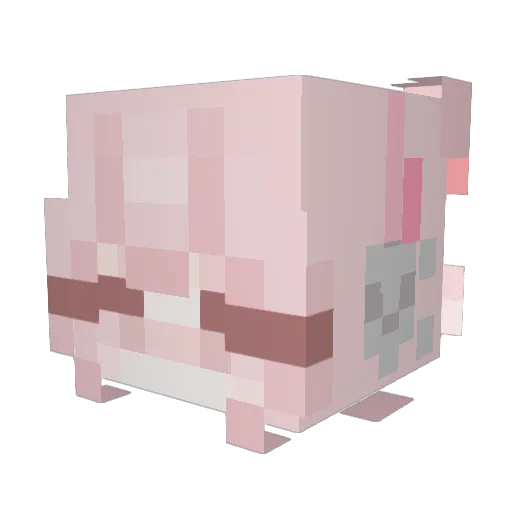 astrodude_ Minecraft avatar head, 3D render