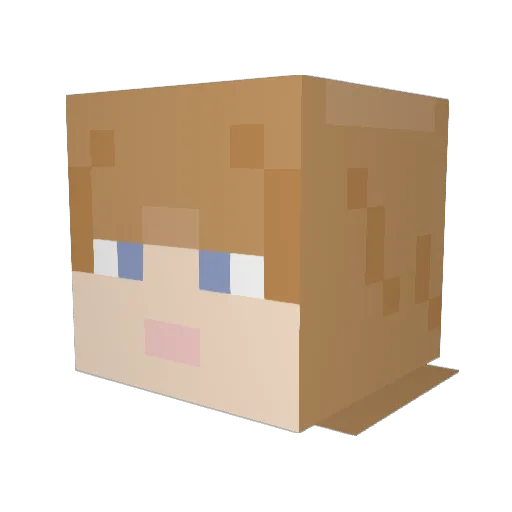 astrofox24 Minecraft avatar head, 3D render