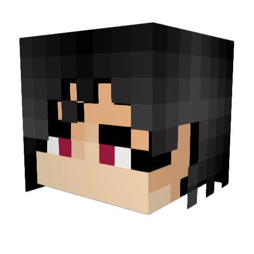 astrokkid Minecraft avatar head, 3D render