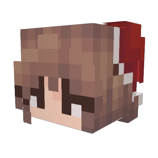 astrolilly Minecraft avatar head, 3D render