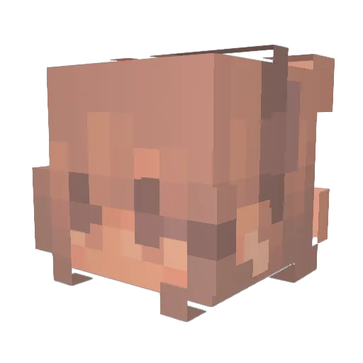 astroloqyy Minecraft avatar head, 3D render